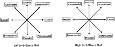 The effect of core stability training on the balance ability of young male basketball players